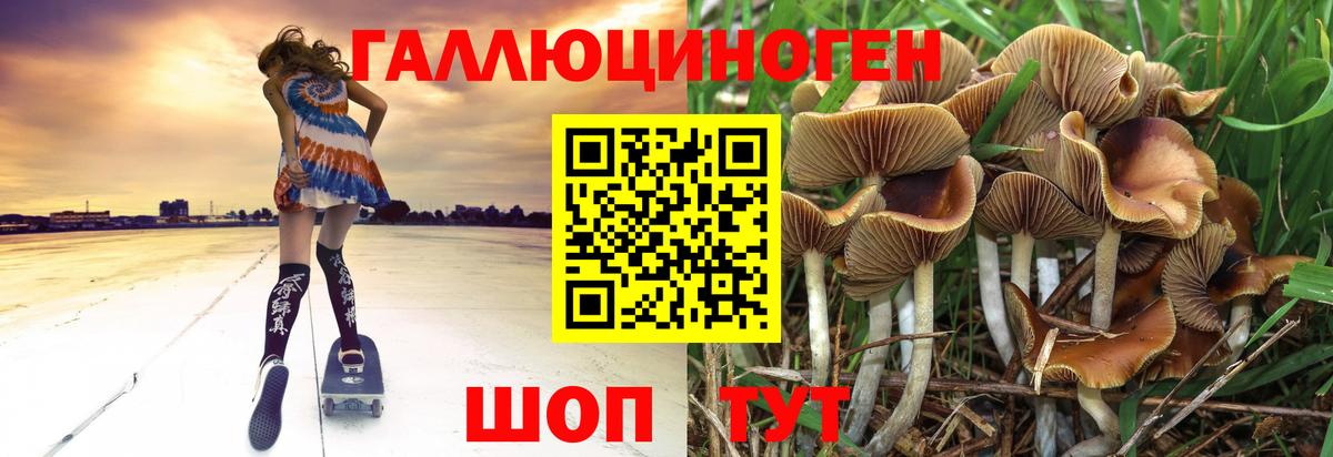 Галлюциногенные грибы MAGIC MUSHROOMS  Псилоцибиновые грибы Magic Shrooms  цена   Вход с VPN  Гагарин 